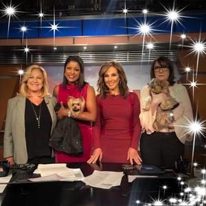 Meet your Posher, Rosemary